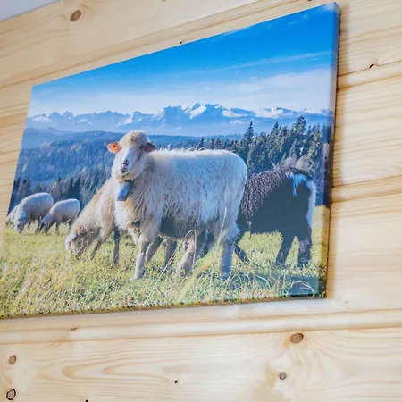 Homestay U Koszarka Zakopane