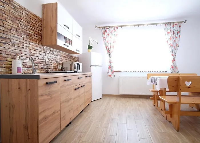 U Koszarka 民宿 扎科帕内